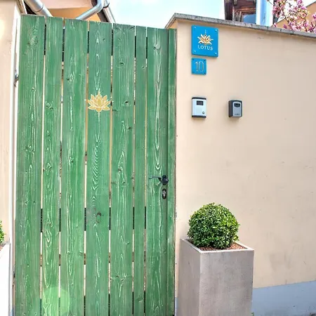 Lotus センテンドレ