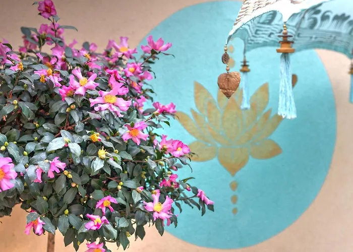 Lotus 샌탠드레